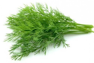 ME Traders Dill soya leaves Seed(36 per packet)