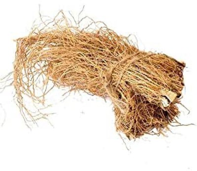 Kabuliwala KHAS ROOT- KHUS JAD - USHIRA - VETIVER ROOTS - VETIVERIA ZIZANIOIDES - RAMACHAM Seed(250 per packet)