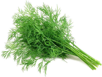 ginnienterpris Dill soya leaves Seed(170 per packet)