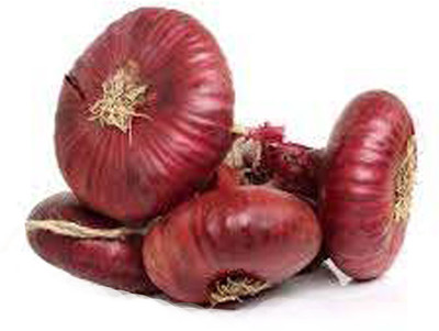 Sjeme Cipollini onion seeds Seed(400 per packet)