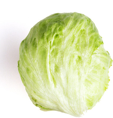 YOUNG STAR L39 ICEBERG LETTUCE Seed(100 per packet)