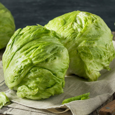 YOUNG STAR L53 LETTUCE ICE BERG Seed(100 per packet)