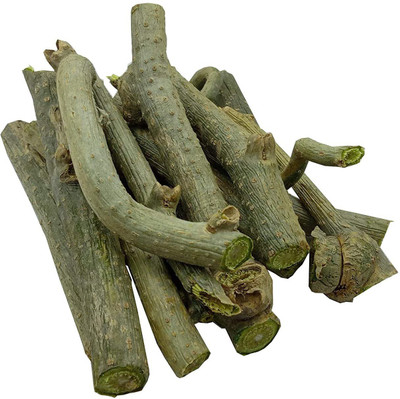 VibeX Giloy Plant/Guduchi/Guruch Fresh Stems Seed(6 per packet)