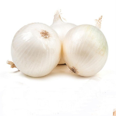 Sjeme White onion seeds Seed(300 per packet)