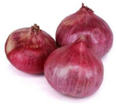 Sjeme Red river onion seeds Seed(100 per packet)