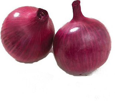 Sjeme Red wing onion seeds Seed(300 per packet)