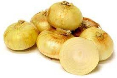 Sjeme Vidalia onion seeds Seed(300 per packet)