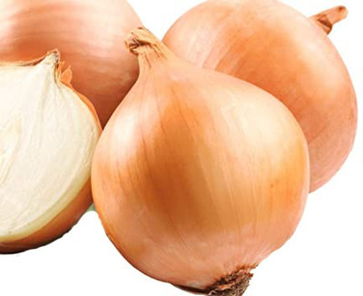 Sjeme Patterson onion seeds Seed(300 per packet)