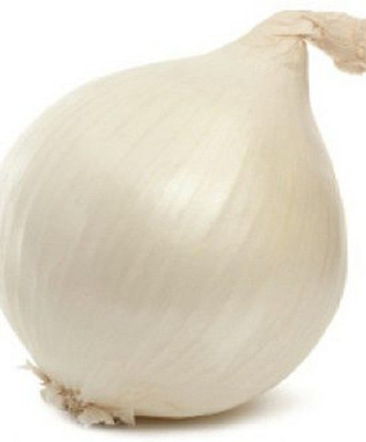 Sjeme White grano onion seeds Seed(250 per packet)