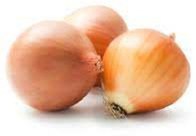 Sjeme Australian brown onion seeds Seed(500 per packet)
