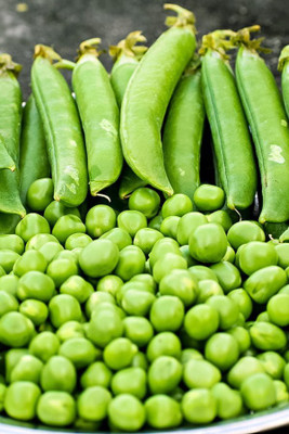 Paudha Green Peas Imported Seed(36 per packet)