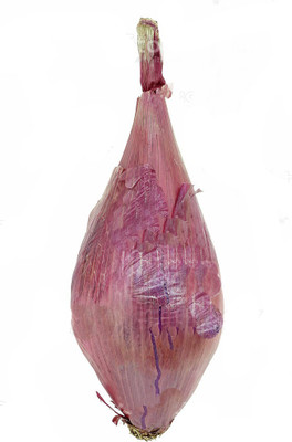 Sjeme Italian onion seeds Seed(300 per packet)
