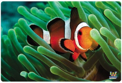 Webby Clownfish in the Deep Sea Jigsaw Puzzle, 252 pieces(252 Pieces)