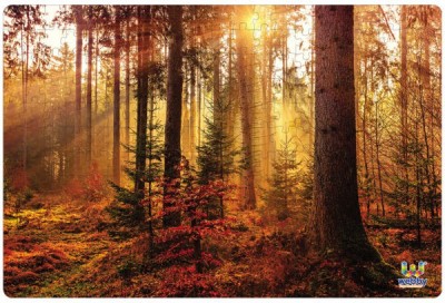 Webby Forest Sun Rise Jigsaw Puzzle, 252 pieces(252 Pieces)