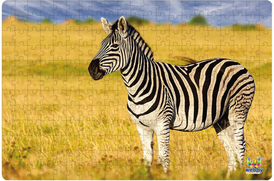 Webby Zebra in the Grasslands Jigsaw Puzzle, 252 pieces(252 Pieces)
