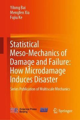 Statistical Meso-Mechanics of Damage and Failure: How Microdamage Induces Disaster(English, Hardcover, Bai Yilong)