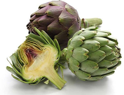 XOLDA Artichoke Globe Seed(15 per packet)