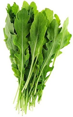 CYBEXIS Arugula Seeds1400 Seeds Seed(1400 per packet)