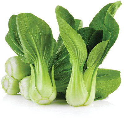 Paudha Pak Choi / Bok choy Seed(25 per packet)