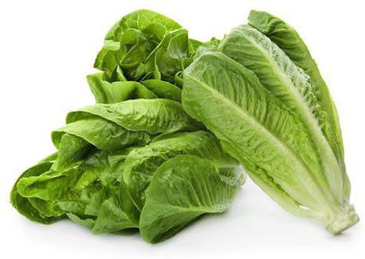 CYBEXIS Lattuga Romana-100 Seeds Seed(100 per packet)