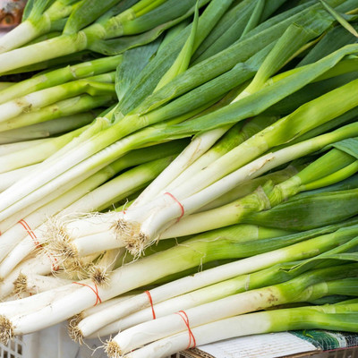 XOLDA Bunching Onion Seed(45 per packet)