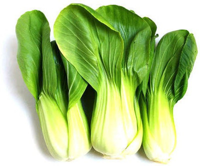 XOLDA Pak Choi / Bok choy Seed(45 per packet)