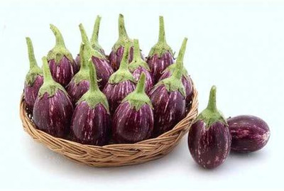 MKR Enterprises Bengan Seed(500 per packet)