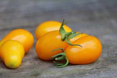 Paudha Tomato Plum Yellow Seed(12 per packet)