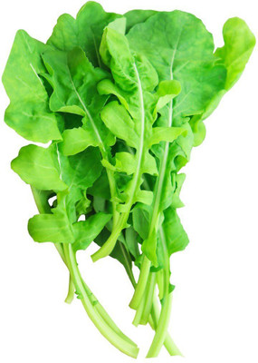 XOLDA Rocket Salad Leaf Seed(50 per packet)