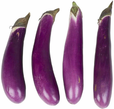 Aywal Hybrid F1 Brinjal Long Purple Seed(25 per packet)