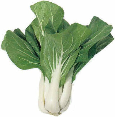 CYBEXIS Bok Choy Cabbage-250 Seeds Seed(250 per packet)