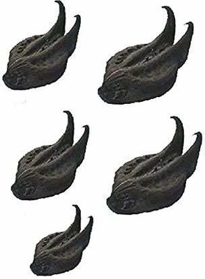 Seedshub Bathhead seeds Seed(5 per packet)