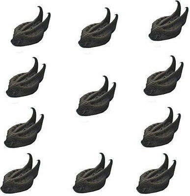 Seedshub Bathhead seeds Seed(10 per packet)