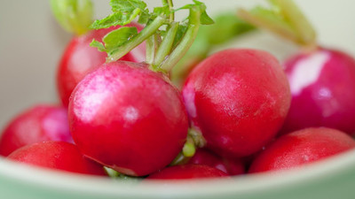 XOLDA Red Radish Imported Seed(30 per packet)