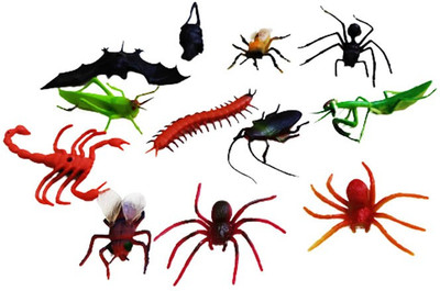 Dhinchak Insects figure set for fun and play for kids and all 12 figures looks real(Multicolor)