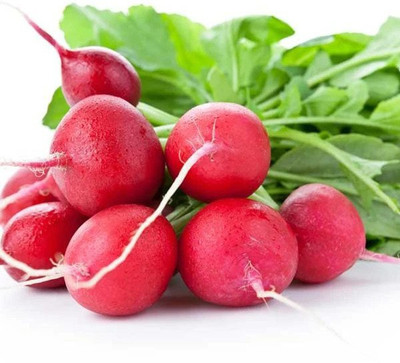 Sjeme Radish Sparkler / round red radish seeds Seed(80 per packet)