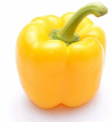 CYBEXIS TLX-41 - YELLOW CAPSICUM VEGETABLE - (1350 Seeds) Seed(1350 per packet)