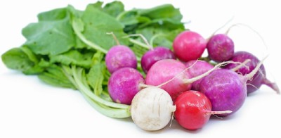 Sjeme Radish Easter egg radish seed Seed(60 per packet)