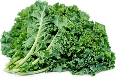 XOLDA Green kale Seed(51 per packet)