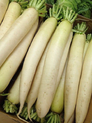V Seed Radish / Mooli Seed(70 per packet)
