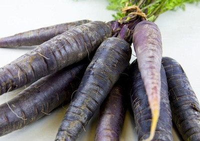 Paudha Carrot Black Seed(40 per packet)