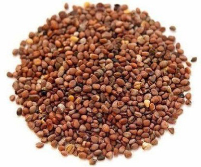 Sjeme Radish Cherry belle / round red radish seed Seed(175 per packet)