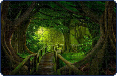 Webby The Path in the Jungle Jigsaw Puzzle, 500 pieces(500 Pieces)