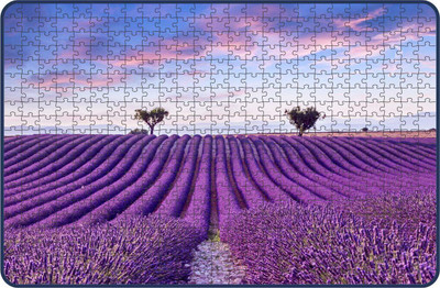 Webby The Endless Lavender Fields Jigsaw Puzzle, 500 pieces(500 Pieces)
