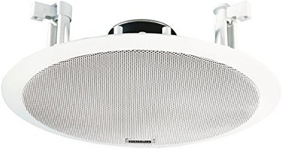 Ahuja Ceiling Speakers CS-5061T 6 W Home Theatre(White, Mono Channel)