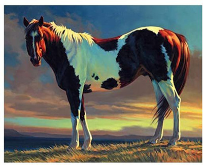 digital oil painting ABEUTY DIY Paint by Numbers for Adults Beginner - and Horse Animal 16x20 inches Number Painting Anti Stress Toys (No F