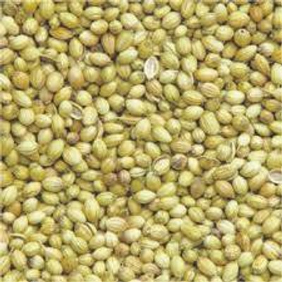Mind View Gardening Dhaniya seed Seed(200 per packet)
