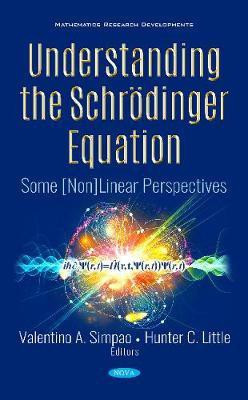 Understanding the Schroedinger Equation(English, Hardcover, unknown)