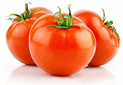 DIVINE TOMATO , TAMATAR Seed(50 per packet)