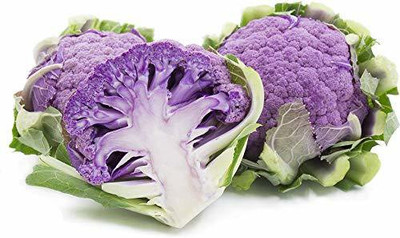 YOUNG STAR CAULIFLOWER PURPLE Seed(100 per packet)